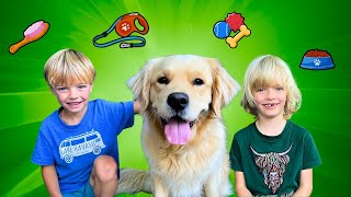 Learn How To Care For A Pet (Beginner's Guide to Pet Care)