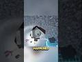 What Happened To Rob After Gumball Ended