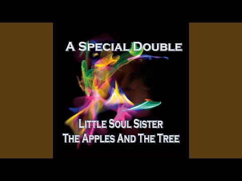 Little Soul Sister