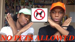 Tutweezy “Animal rights people be like” (feat. coldgamekelv) REACTION!!!