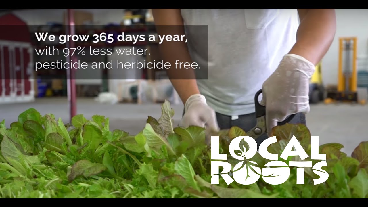 The Local Roots Story