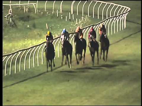 Galoppo 01/08/2015 - 4° corsa