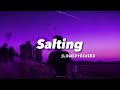 Salting ( Slowed+reverb ) | Tiktok Viral Song | Indo Remix