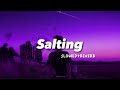 Salting Slowed Reverb Tiktok Viral Song Indo Remix