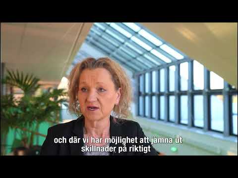 Vilken roll spelar skolan i ett demokratiskt samhälle? Boel Godner, Södertälje kommun, svarar