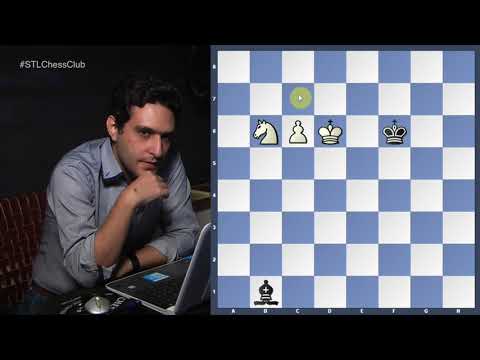 Rules of Knight Endgames and Bishop Endgames | Endgame Exclam!! - GM Elshan Moradiabadi
