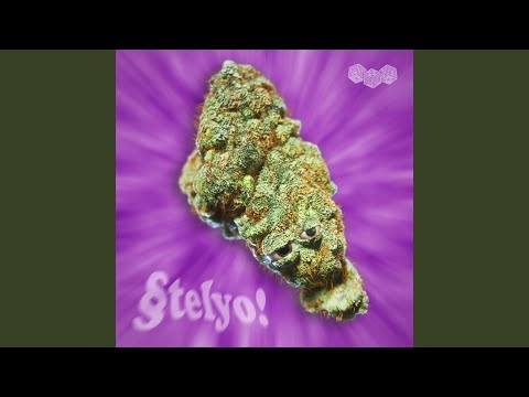 Stelyo!