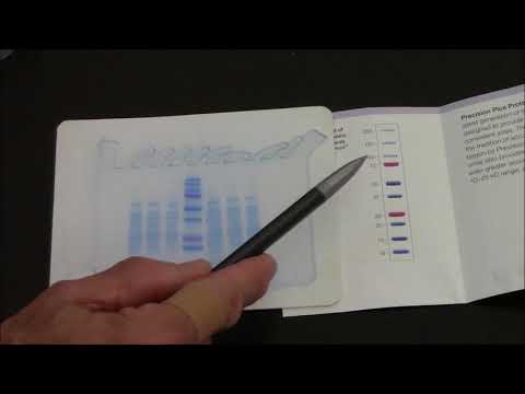 SDS-PAGE 5:  Interpreting Results from a Protein Gel (periplasmic extract from E. coli)