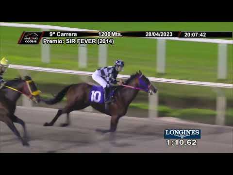 230428 c09 MR. LAWYER