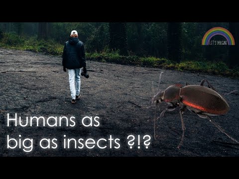 Why Insect-Sized Humans Wouldn't Work