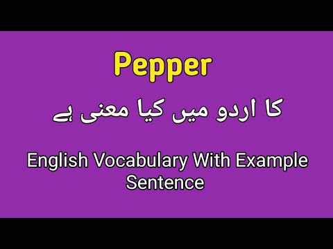 Pepper meaning in English to Urdu | pepper meaning with example sentence