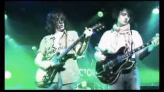 The Libertines - What A Waster (Live Japan 2003)