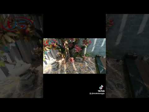 Tư vấn - Thiết kế - Thi công cảnh quan sân vườn hồ Koi