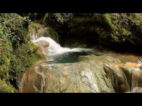 download lagu mp3 mp4 Les Gorges De L Albarine, download lagu Les Gorges De L Albarine gratis, unduh video klip Les Gorges De L Albarine