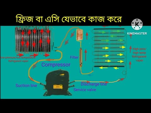 how to work refrigerator gas cycle | Refrigerator working principle | Refrigerator working animation