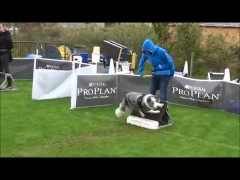 Debuut van TFC Argos op 05/10/2014 in Putte (B)