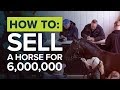 SIX MILLION FOR A RACEHORSE Most Expensive Horse Auction At Tattersalls Newmarket