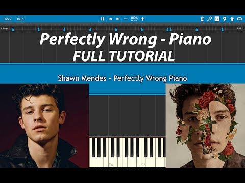 Perfectly Wrong - Shawn Mendes