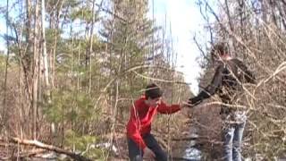 Waltz With Bells The Bells