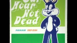 Our Hour - Panda Riot