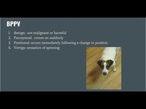 BPPV Workshop: Benign Paroxysmal Positional Vertigo