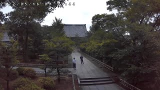 真言宗智山派　総本山智積院 　参道ライブカメラ / Chishakuin Temple Approach Live camera live webcam