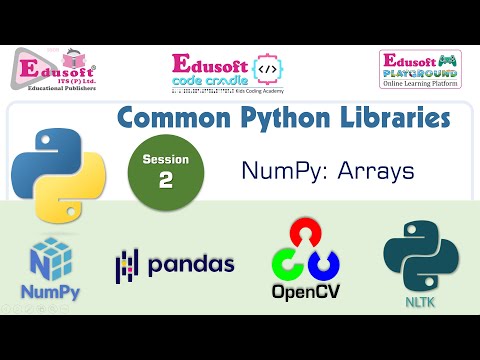 Common Python Libraries Numpy Arrays