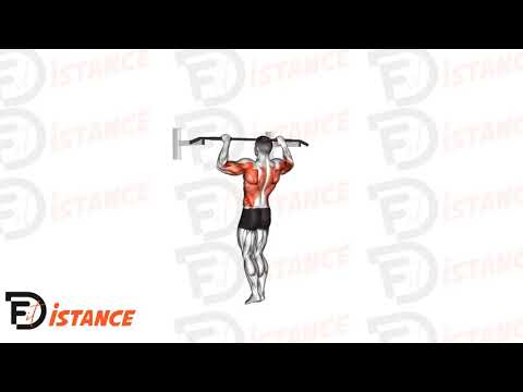 Muscle-up - Exercice Muscle-up en vidéo Muscle-up - Exercice Muscle-up en vidéo