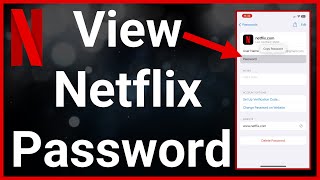 How To See Your Password On Netflix