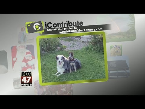 iContribute: August 4 2015