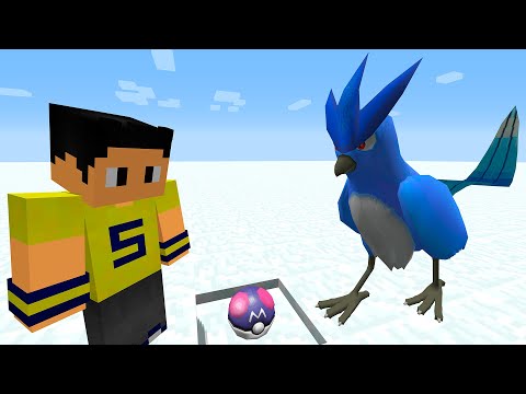 Presente Pokémon Lendário no Minecraft Pixelmon