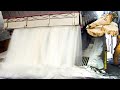 How Sugar Is Made From Sugar Beets Sugar Beet Harvesting Processing Sugar Factory