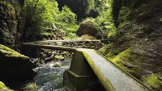 Samsung S24 Ultra | 4K Test Footage | Remote Hiking Trail in Niyodogawa, Japan