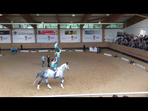 Oberland 3, Kür 25.05.2017, Pferd International