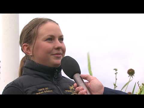 Segerintervju Svenskt Trav-Oaks, lopp 9 2019-09-29