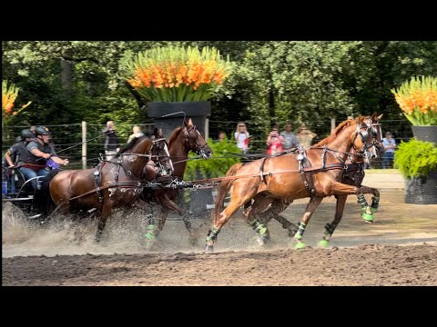 Combined Driving 4-in-hand Marathon Compilation video @CAI Beekbergen 2023