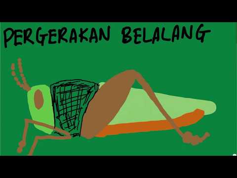 BIOLOGI BAB 2(BAHAGIAN 4) -PERGERAKAN BELALANG(SPM TINGKATAN 5)