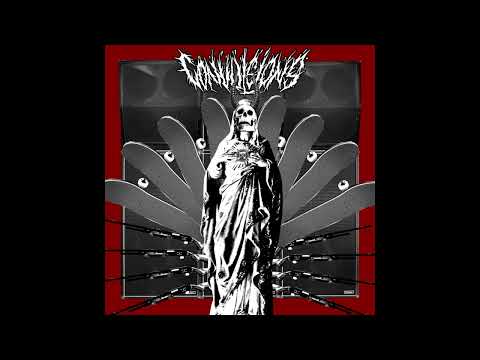 Convulsions / Insect Terror (Full Split)