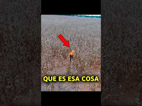 Grabó ACCIDENTALMENTE un DESCUBRIMIENTO ESPELUZNANTE... 😨