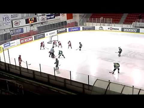 20180310 HC Slavia Praha - Zbraslav 1a2 tretina