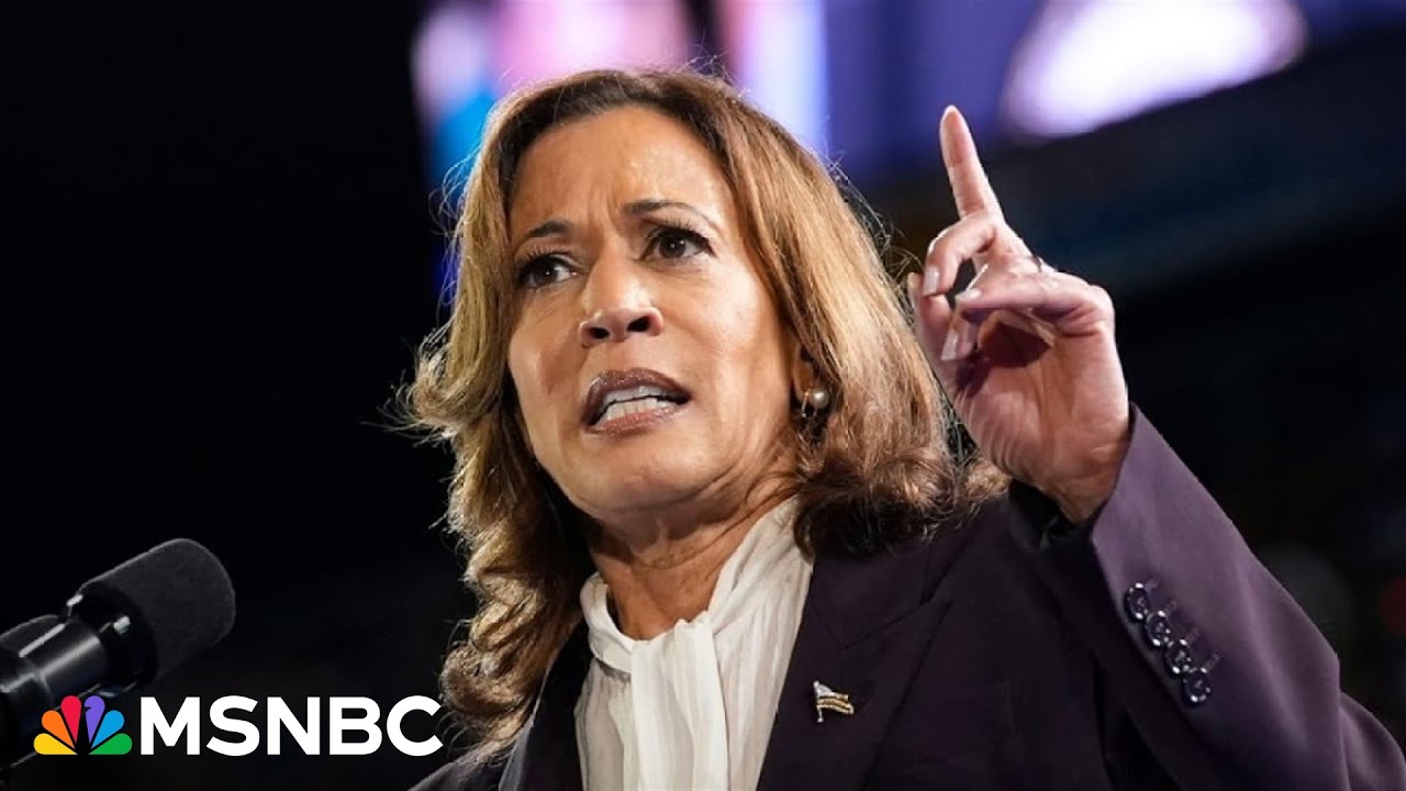 Despite shortened campaign, Harris team has ‘composure’ in final sprint: Lincoln Project adviser