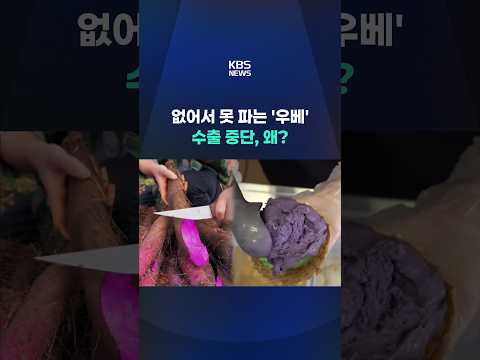 없어서 못 파는 '우베' 수출 중단, 왜? #shorts / KBS