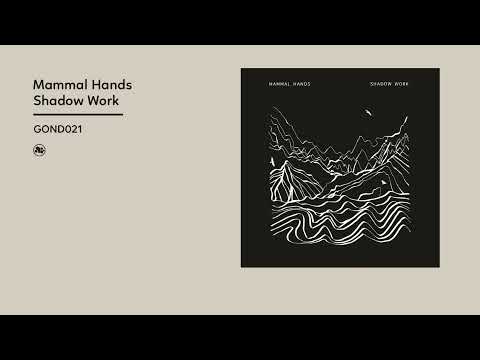 Mammal Hands - Shadow Work (Official Album Video)