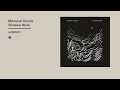 Mammal Hands Shadow Work Official Album Video