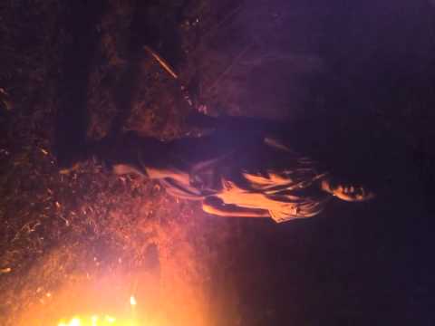 (HGE) Errday N Da Hood