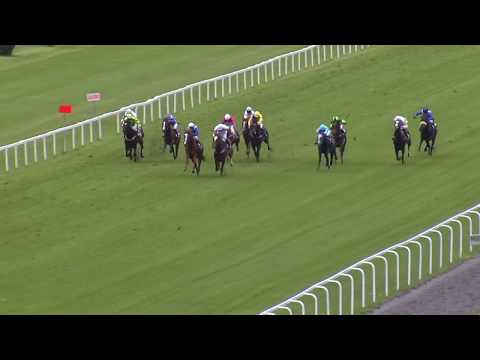 5. dostih - 33. MEMORIÁL JUDr.  OTAKARA FRANKENBERGERA - dostihy Velká Chuchle 11. 5. 2019