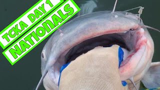 TCKA National Championships Day 1 Most Fish | Wilson Lake | Tennessee River | Kayak | Catfishing