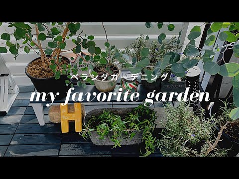  17 の賢いアイデアで冬のバルコニーを魅力的に飾りましょう!  庭園