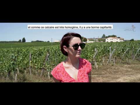 Le sol du Château La Rose Perrière