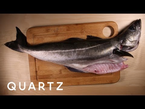 Pollock: the most fished fish in the world